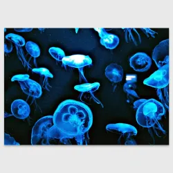 Поздравительная открытка Meduse