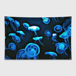 Флаг-баннер Meduse