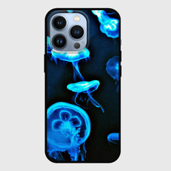Чехол для iPhone 13 Pro Meduse