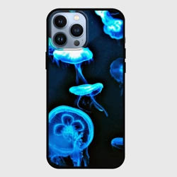 Чехол для iPhone 13 Pro Max Meduse