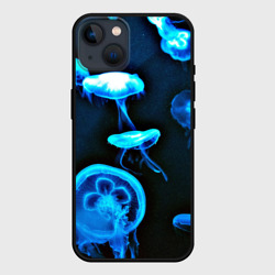 Чехол для iPhone 14 Meduse