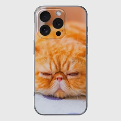 Чехол для iPhone 16 Pro Max силиконовый с защитой камеры Рыжий кот