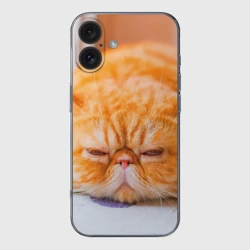 Чехол для iPhone 16 силиконовый с защитой камеры Рыжий кот