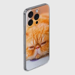 Чехол для iPhone 16 Pro Max силиконовый с защитой камеры Рыжий кот - фото 2