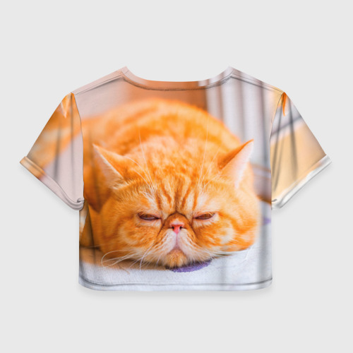 Женская футболка Crop-top 3D Рыжий кот, цвет 3D печать - фото 2