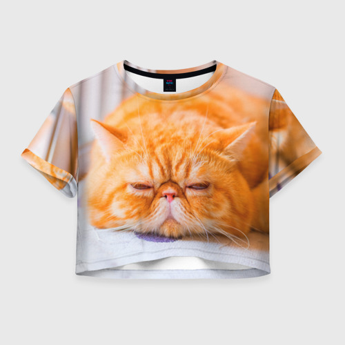 Женская футболка Crop-top 3D Рыжий кот, цвет 3D печать