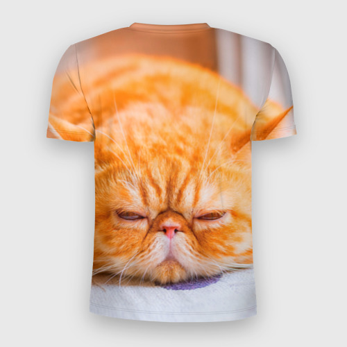 Мужская футболка 3D Slim Рыжий кот, цвет 3D печать - фото 2