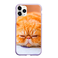 Чехол для iPhone 11 Pro матовый Рыжий кот