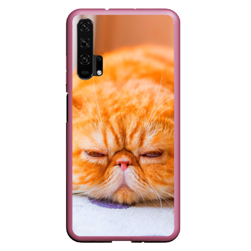 чехол рыжий кот