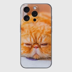 Чехол для iPhone 15 Pro силиконовый с защитой камеры Рыжий кот