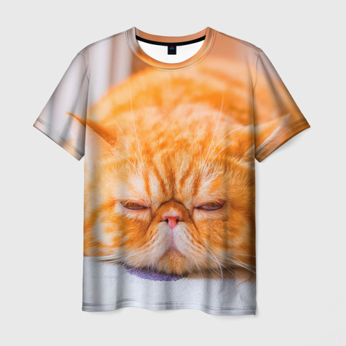 Мужская футболка 3D Рыжий кот, цвет 3D печать