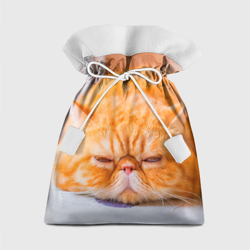 Подарочный мешок Рыжий кот (из ткани)