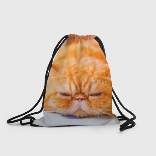 Рюкзак рыжий кот. Сумки фирмы рыжий кот. Пак кошка. Кот в мешке рисунок. Мешки для мусора черные 30 л 30 шт.