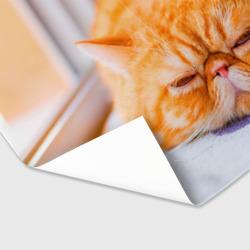 Бумага для упаковки 3D Рыжий кот - фото 2