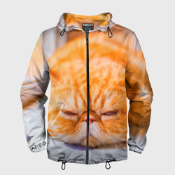 Мужская ветровка 3D Рыжий кот