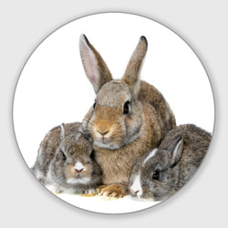 Круглый коврик для мышки Кролики - семейство