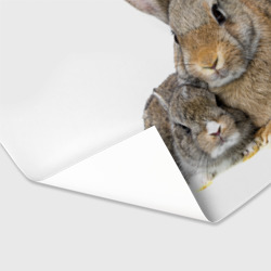 Бумага для упаковки 3D Кролики - фото 2