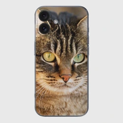 Чехол для iPhone 16 силиконовый с защитой камеры Кот серьезный