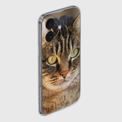 Чехол для iPhone 16 силиконовый с защитой камеры Кот серьезный - фото 2