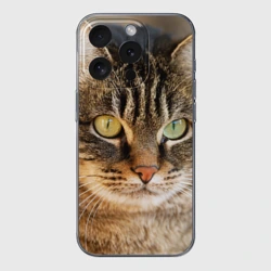 Чехол для iPhone 15 Pro силиконовый с защитой камеры Кот серьезный