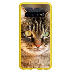 Чехол для Samsung Galaxy S10 Кот