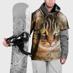 Накидка на куртку 3D Кот
