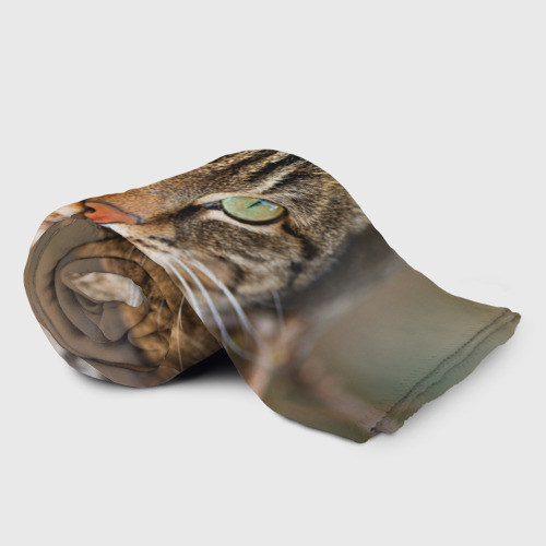 Плед 3D Кот серьезный, цвет 3D (велсофт) - фото 2