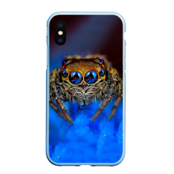 Чехол для iPhone XS Max матовый Паук