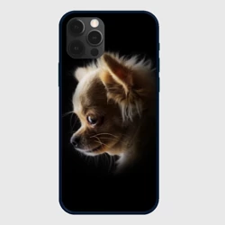 Чехол для iPhone 12 Pro Чихуахуа
