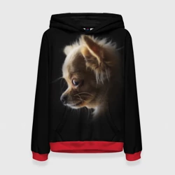 Женская толстовка 3D Чихуахуа