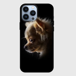 Чехол для iPhone 13 Pro Max Чихуахуа