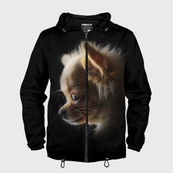 Мужская ветровка 3D Чихуахуа