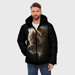 Мужская зимняя куртка 3D Чихуахуа - фото 2