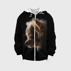 Детская куртка 3D Чихуахуа