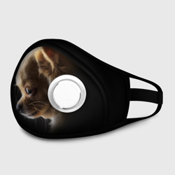 Маска из неопрена Чихуахуа