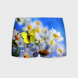 Мужские трусы 3D Ромашки и бабочка