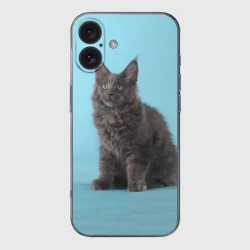Чехол для iPhone 16 силиконовый с защитой камеры Кот мейн кун