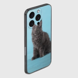 Чехол для iPhone 16 Pro Max силиконовый с защитой камеры Кот мейн кун - фото 2