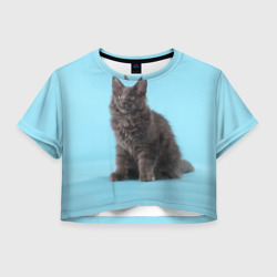 Женская футболка Crop-top 3D Кот мейн кун