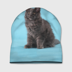 Шапка 3D Кот мейн кун