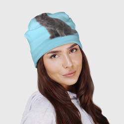 Шапка 3D Кот мейн кун - фото 2