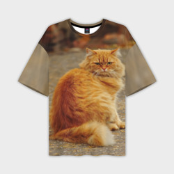 Мужская футболка oversize 3D Рыжий кот