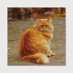 Холст с принтом Рыжий кот для любого человека, вид спереди №2. Цвет основы: белый