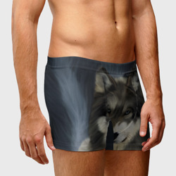 Мужские трусы 3D Картина волк - фото 2