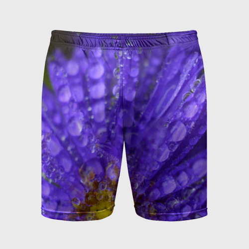 Мужские шорты спортивные Цветы, цвет 3D печать