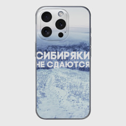 Чехол для iPhone 15 Pro силиконовый с защитой камеры Сибирь