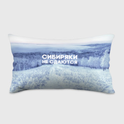 Подушка 3D антистресс Сибирь