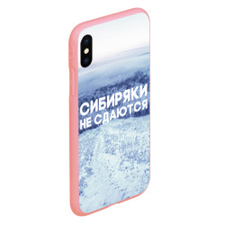 Чехол для iPhone XS Max матовый Сибирь - фото 2