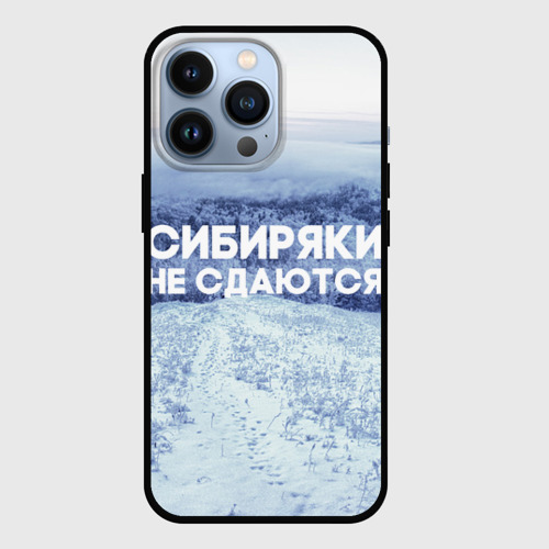 Чехол для iPhone 13 Pro Сибирь, цвет черный