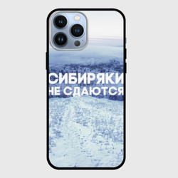 Чехол для iPhone 13 Pro Max Сибирь